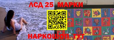 стаф Донецк