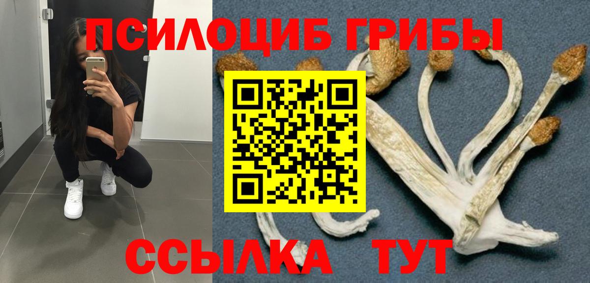 Псилоцибиновые грибы мухоморы Людиново